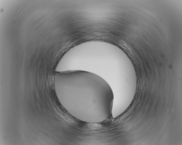 X0000088390429200706121215