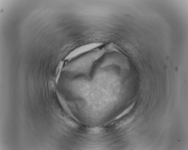 X0000088390432200706121214