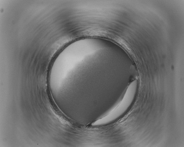 X0000088390438200706121214