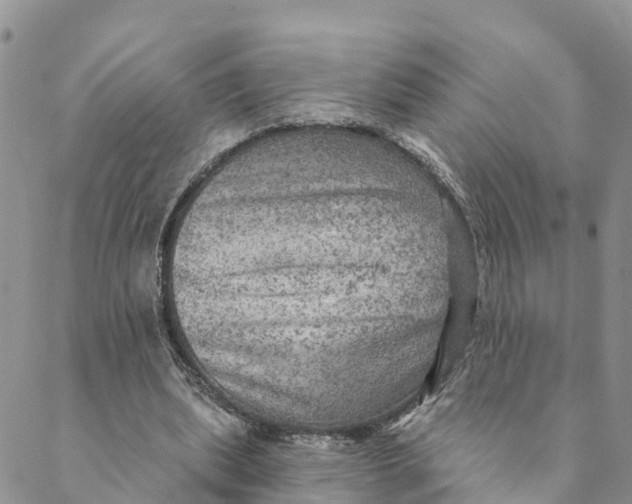 X0000088390439200706121214