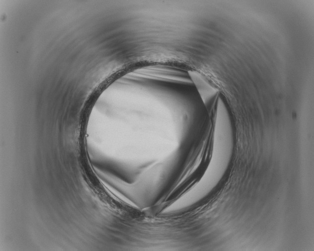 X0000088390440200706121214