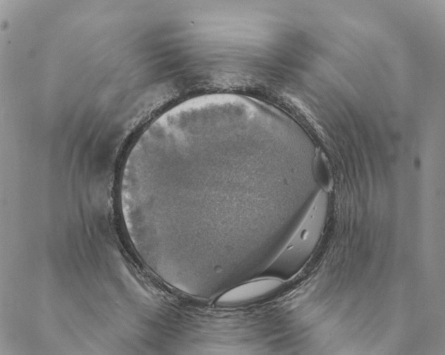 X0000088390443200706121214