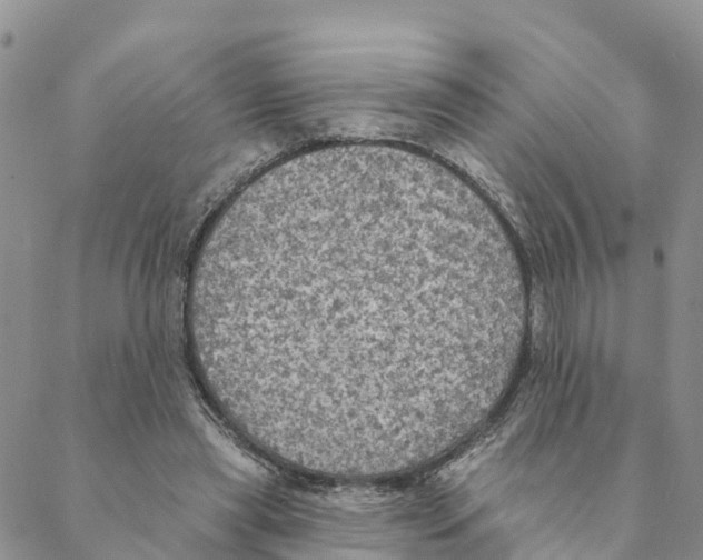 X0000088390445200706121214