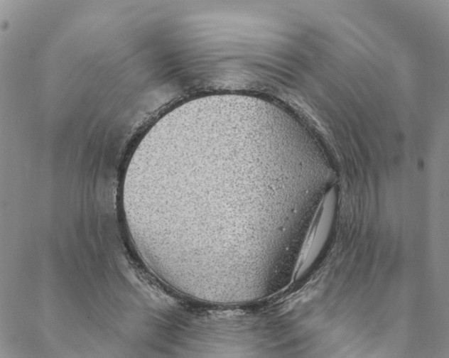 X0000088390446200706121214