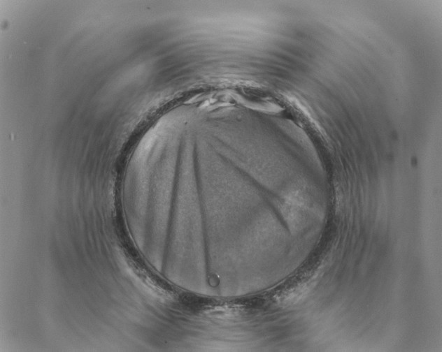 X0000088390447200706121214