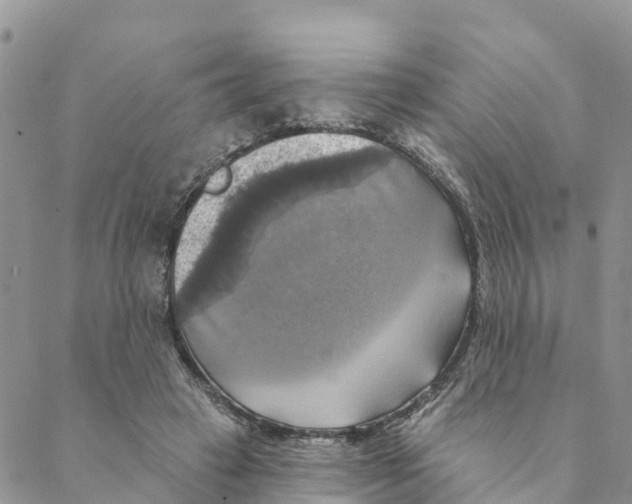 X0000088390449200706121214