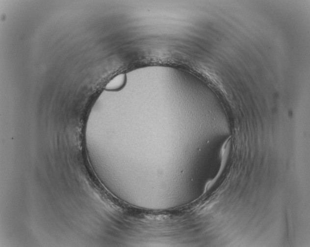 X0000088390450200706121214