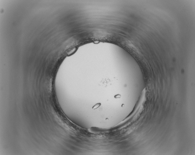 X0000088390454200706121214