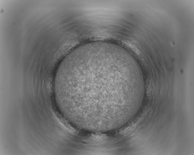 X0000088390455200706121214