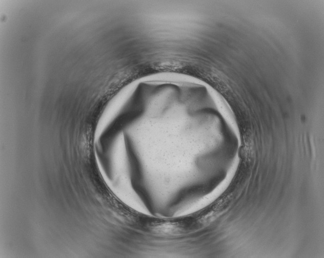 X0000088390460200706121214