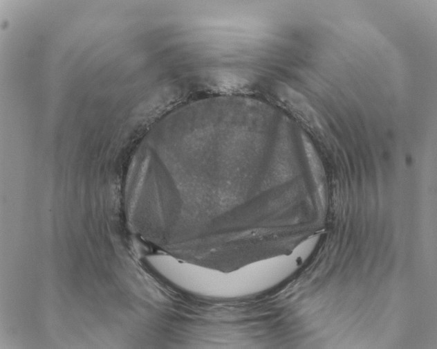 X0000088390461200706121214