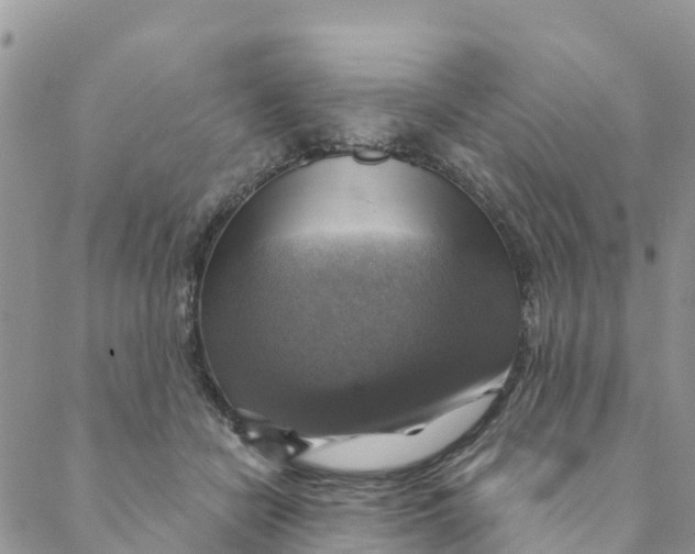 X0000088390462200706121214