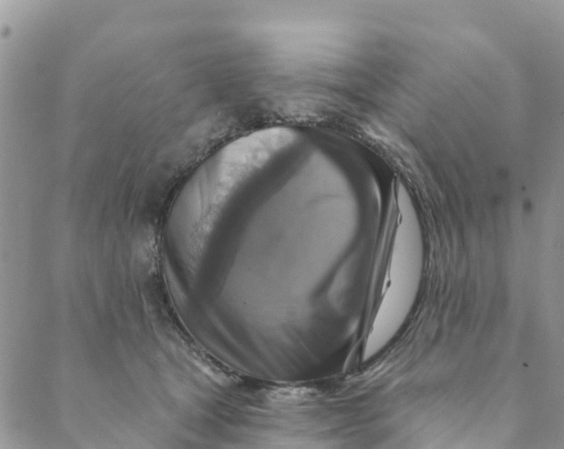 X0000088390465200706121214