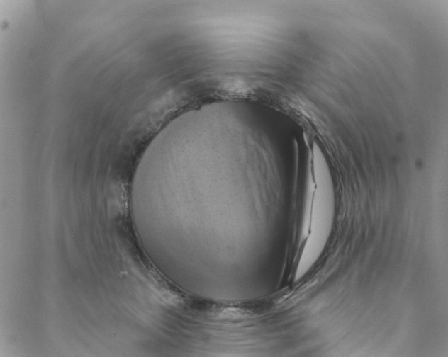 X0000088390467200706121214