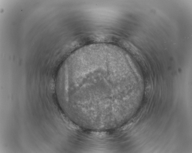 X0000088390469200706121214