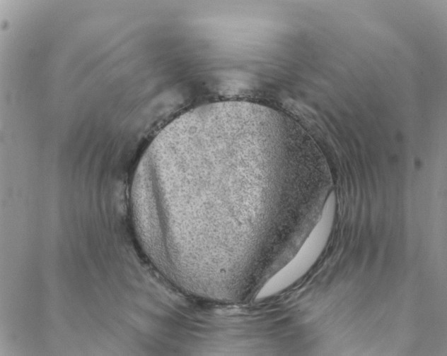 X0000088390470200706121214