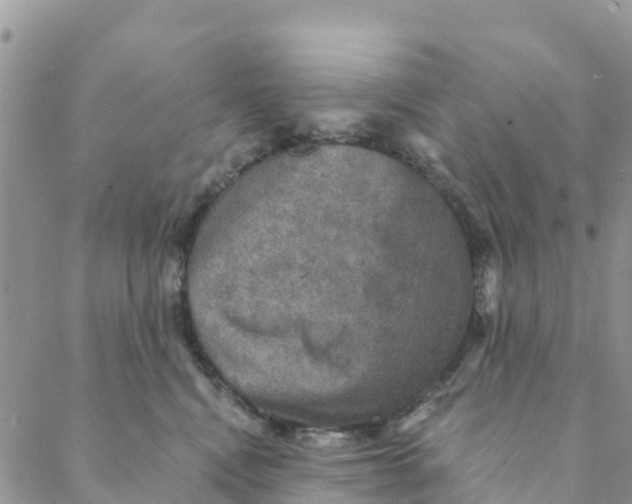 X0000088390472200706121214