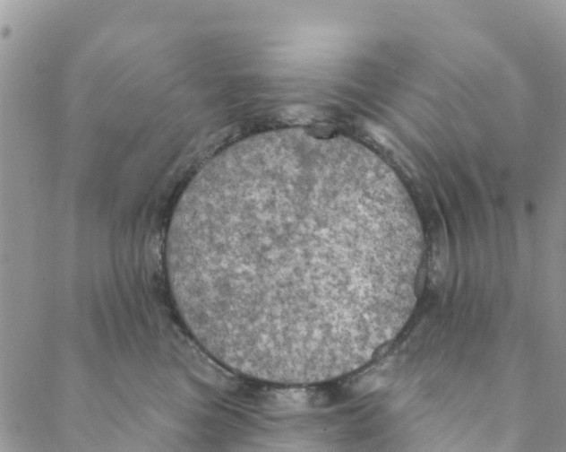 X0000088390473200706121214