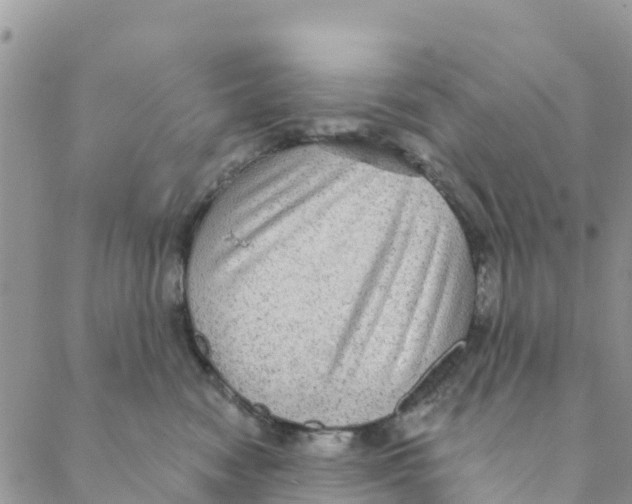 X0000088390474200706121214