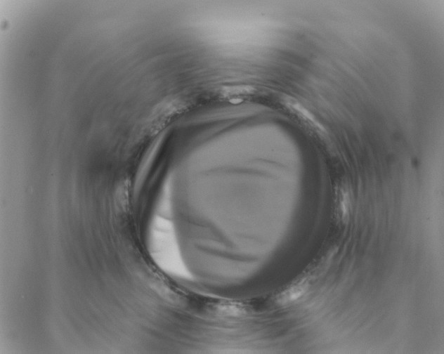 X0000088390475200706121214