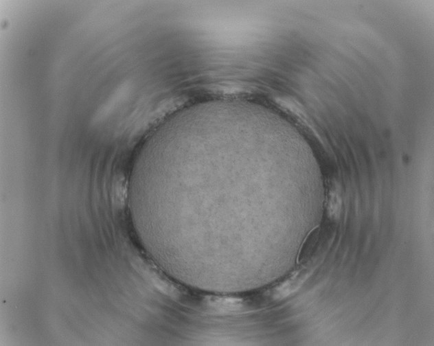 X0000088390476200706121214