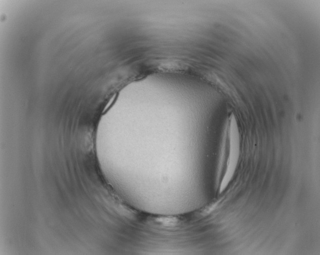 X0000088390478200706121214