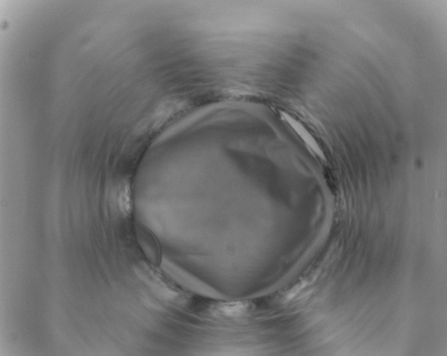 X0000088390479200706121214