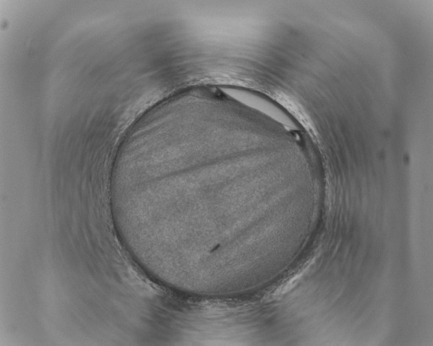 X0000088390481200706121214