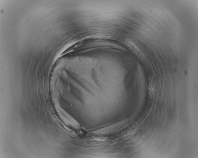 X0000088390484200706121214