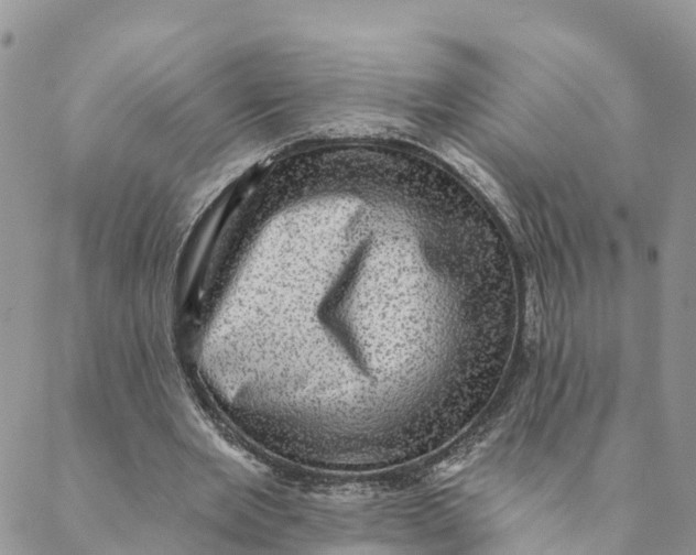 X0000088390485200706121214