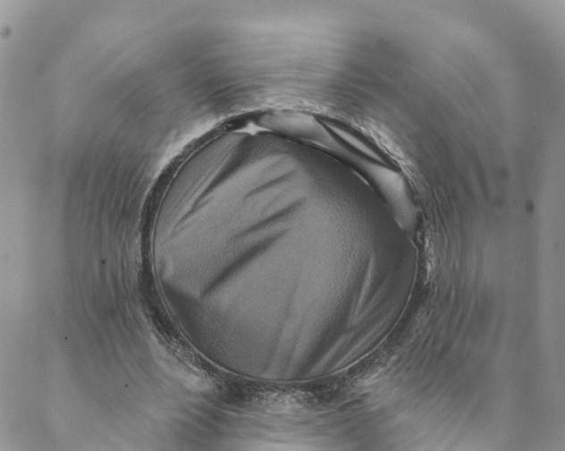 X0000088390488200706121214