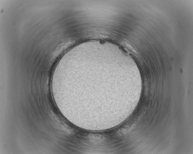 X0000088390490200706121214