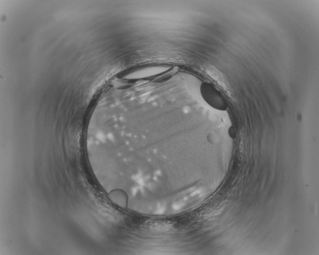 X0000088390491200706121213