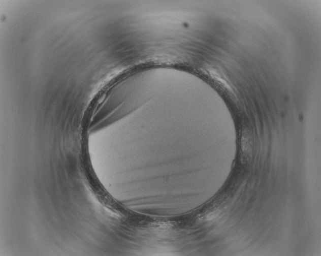 X0000088390492200706121213