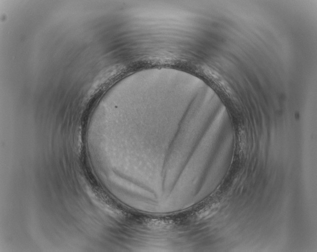 X0000088390494200706121213