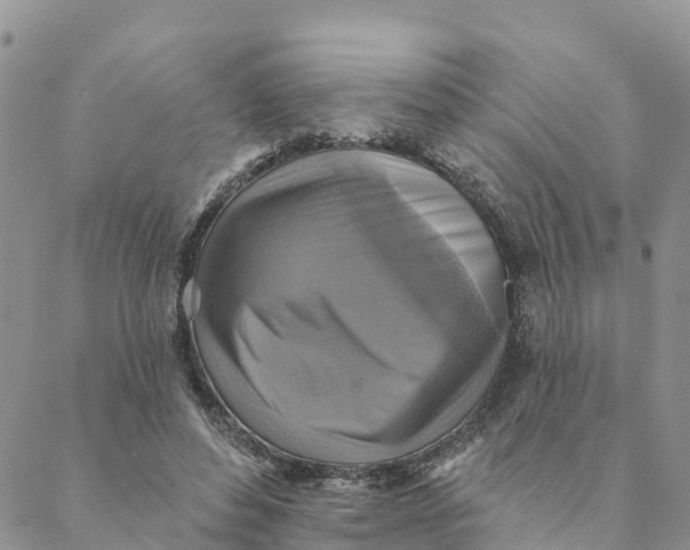 X0000088390496200706121213