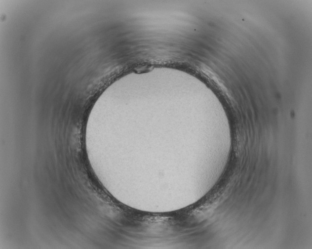 X0000088390497200706121213