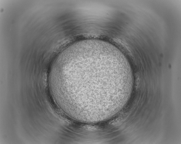 X0000088390498200706121213