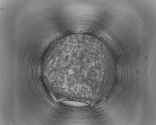 X0000088390499200706121213