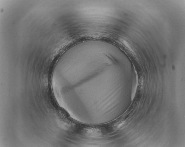 X0000088390500200706121213