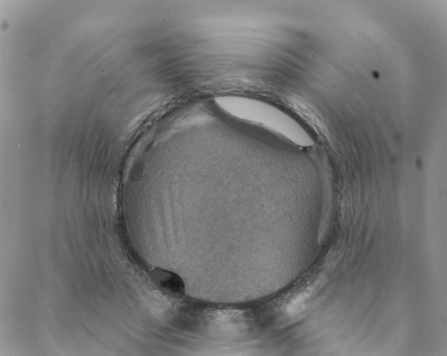 X0000088390501200706121213