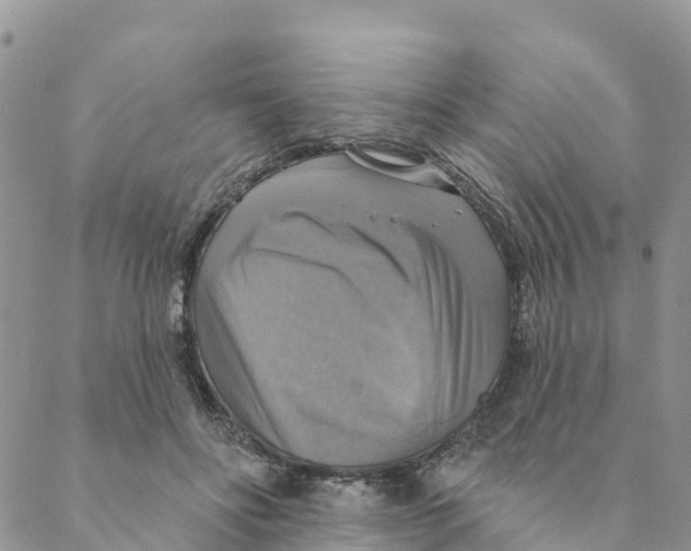 X0000088390502200706121213