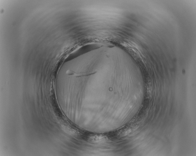 X0000088390503200706121213