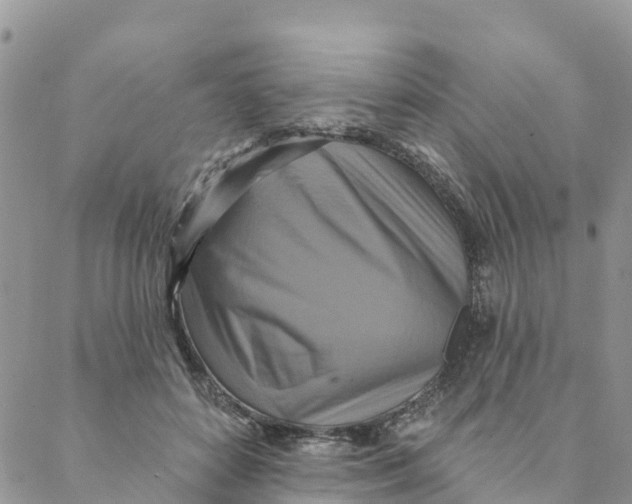 X0000088390504200706121213