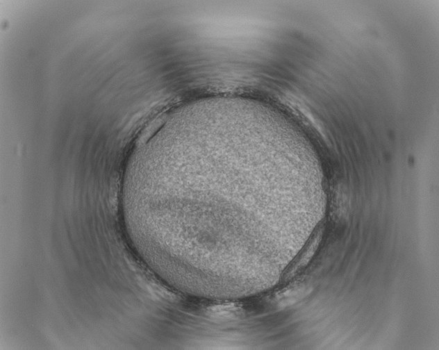 X0000088390505200706121213