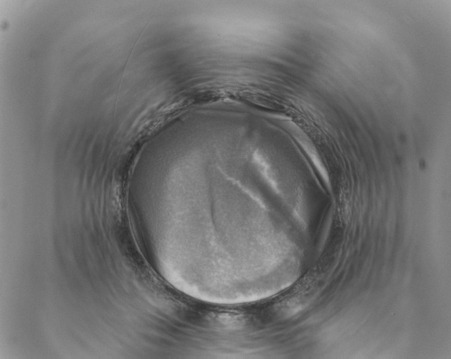 X0000088390506200706121213