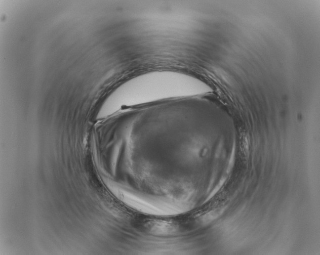 X0000088390507200706121213