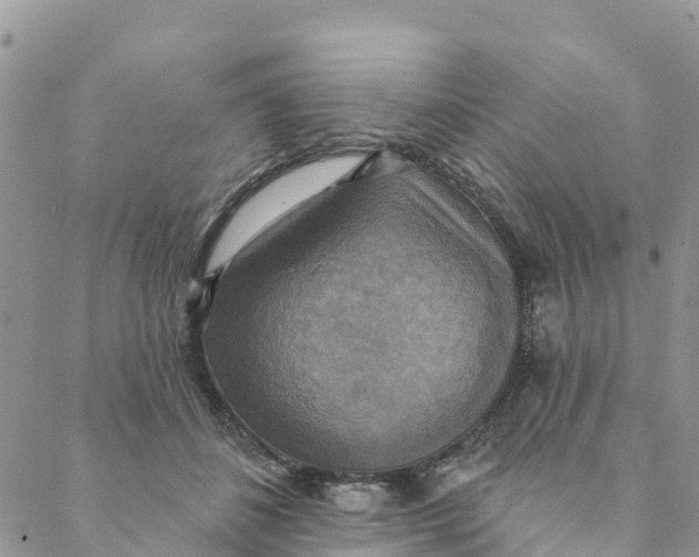 X0000088390508200706121213