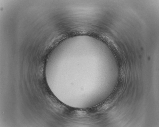 X0000088390509200706121213