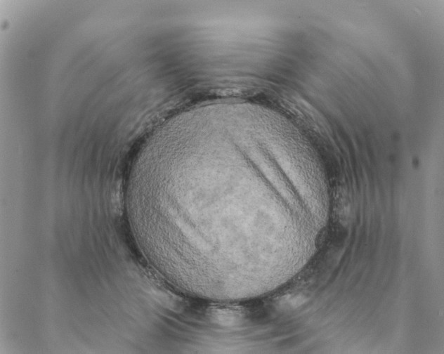 X0000088390510200706121213